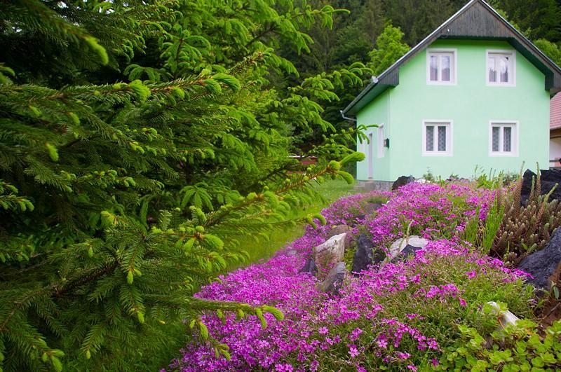 Villa Pataki Kulcsoshaz Izvoare  Exterior foto